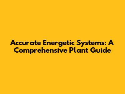 Accurate Energetic Systems: A Comprehensive Plant Guide