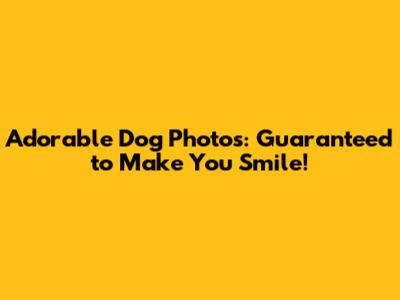 Adorable Dog Photos: Guaranteed to Make You Smile!