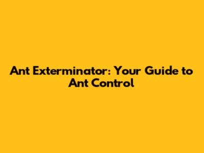 Ant Exterminator: Your Guide to Ant Control