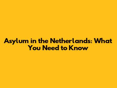 Asylum in the Netherlands: What You Need to Know