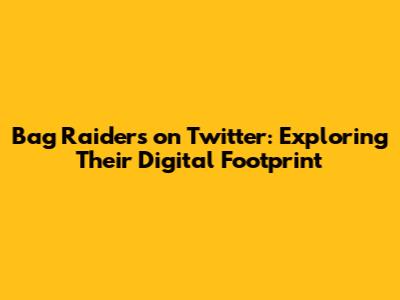 Bag Raiders on Twitter: Exploring Their Digital Footprint