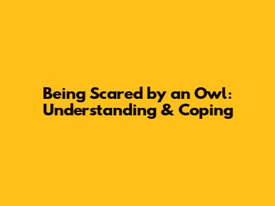 Being Scared by an Owl: Understanding & Coping