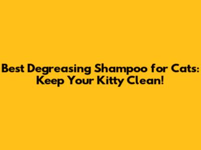 Best Degreasing Shampoo for Cats: Keep Your Kitty Clean!
