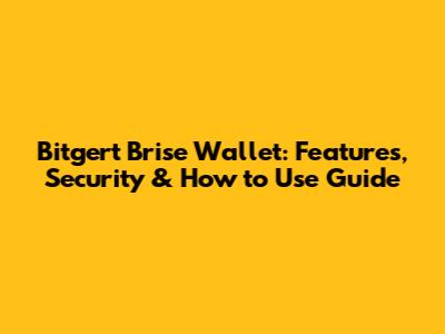 Bitgert Brise Wallet: Features, Security & How to Use Guide
