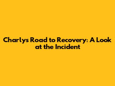Charly's Road to Recovery: A Look at the Incident