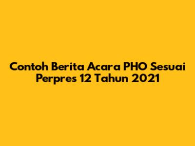 Contoh Berita Acara PHO Sesuai Perpres 12 Tahun 2021