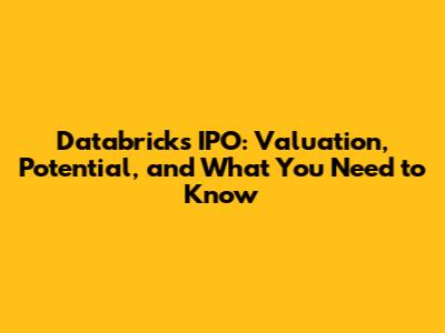 Databricks IPO: Valuation, Potential, and What You Need to Know