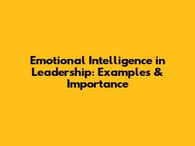 Emotional Intelligence in Leadership: Examples & Importance