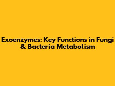 Exoenzymes: Key Functions in Fungi & Bacteria Metabolism