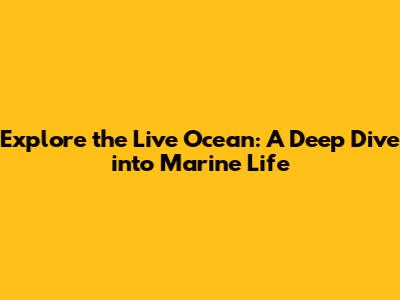 Explore the Live Ocean: A Deep Dive into Marine Life