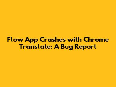 Flow App Crashes with Chrome Translate: A Bug Report