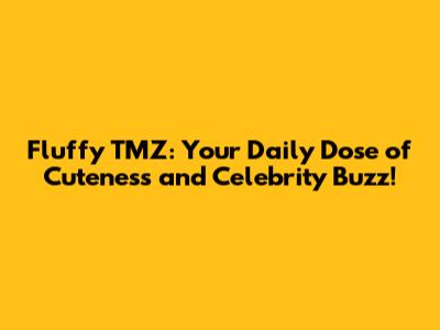 Fluffy TMZ: Your Daily Dose of Cuteness and Celebrity Buzz!