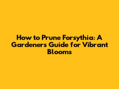 How to Prune Forsythia: A Gardener's Guide for Vibrant Blooms