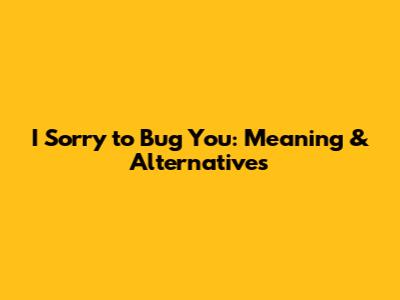 I Sorry to Bug You: Meaning & Alternatives