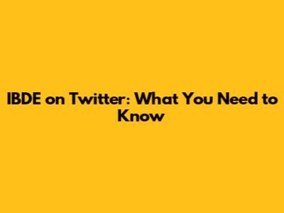 IBDE on Twitter: What You Need to Know