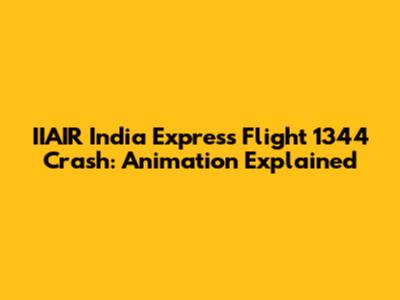 IIAIR India Express Flight 1344 Crash: Animation Explained