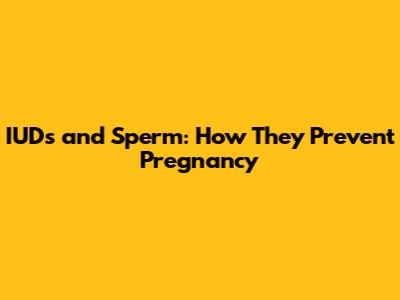 IUDs and Sperm: How They Prevent Pregnancy
