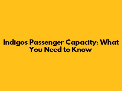 Indigo's Passenger Capacity: What You Need to Know