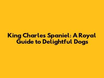 King Charles Spaniel: A Royal Guide to Delightful Dogs