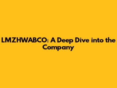 LMZHWABCO: A Deep Dive into the Company