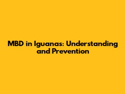 MBD in Iguanas: Understanding and Prevention
