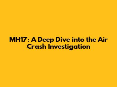 MH17: A Deep Dive into the Air Crash Investigation