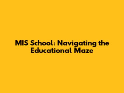 MIS School: Navigating the Educational Maze