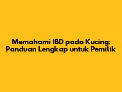 Memahami IBD pada Kucing: Panduan Lengkap untuk Pemilik