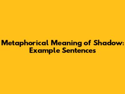 Metaphorical Meaning of 'Shadow': Example Sentences