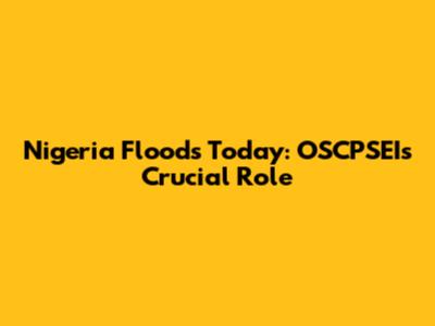 Nigeria Floods Today: OSCPSEI's Crucial Role