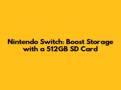 Nintendo Switch: Boost Storage with a 512GB SD Card