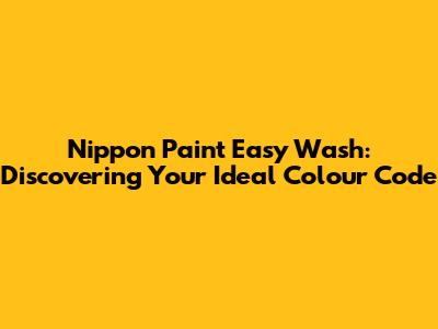 Nippon Paint Easy Wash: Discovering Your Ideal Colour Code