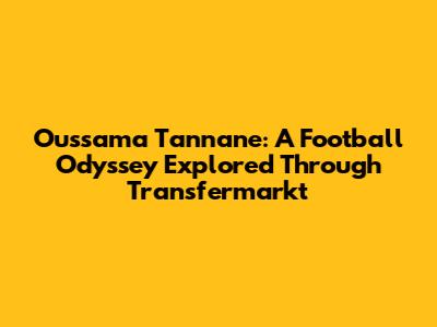 Oussama Tannane: A Football Odyssey Explored Through Transfermarkt