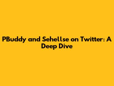 PBuddy and Sehellse on Twitter: A Deep Dive