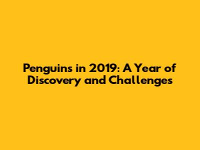 Penguins in 2019: A Year of Discovery and Challenges