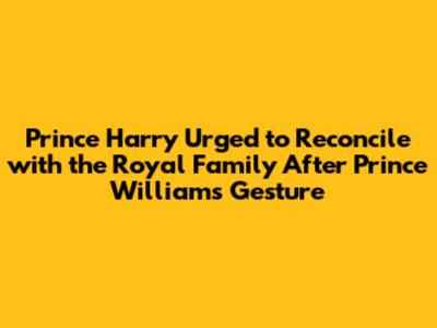 Prince Harry Urged to Reconcile with the Royal Family After Prince William's Gesture