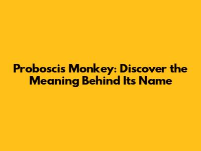 Proboscis Monkey: Discover the Meaning Behind Its Name