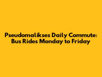 Pseudomalikse's Daily Commute: Bus Rides Monday to Friday
