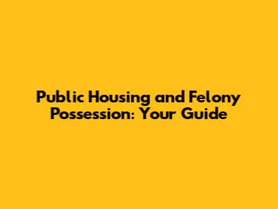Public Housing and Felony Possession: Your Guide
