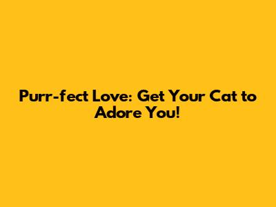 Purr-fect Love: Get Your Cat to Adore You!