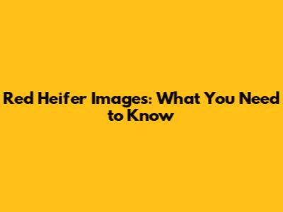 Red Heifer Images: What You Need to Know