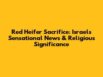 Red Heifer Sacrifice: Israel's Sensational News & Religious Significance