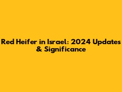 Red Heifer in Israel: 2024 Updates & Significance