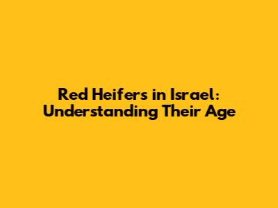 Red Heifers in Israel: Understanding Their Age