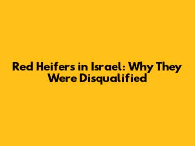 Red Heifers in Israel: Why They Were Disqualified