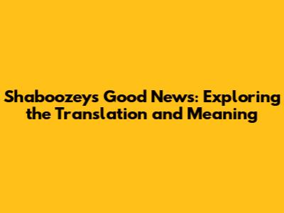 Shaboozey's Good News: Exploring the Translation and Meaning