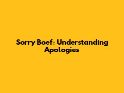 Sorry Boef: Understanding Apologies