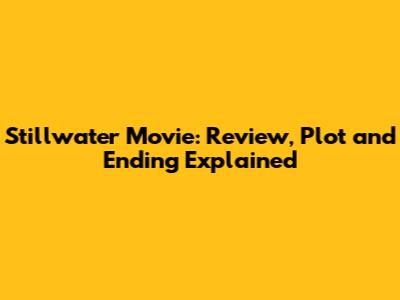 Stillwater Movie: Review, Plot and Ending Explained