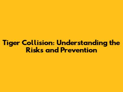Tiger Collision: Understanding the Risks and Prevention