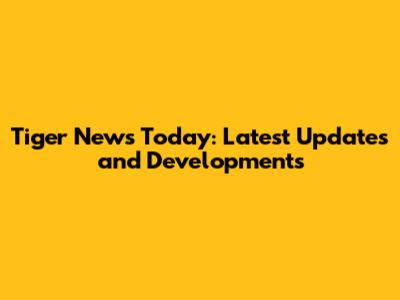 Tiger News Today: Latest Updates and Developments